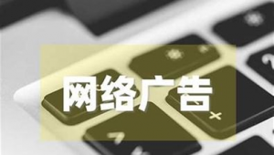 网络广告宣传片推广-网友赵德柱的博客