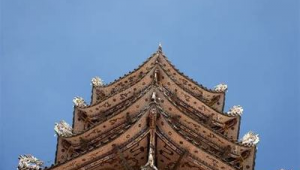 丽江网络推广公司-网友赵德柱的博客