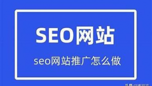 网络seo推广机构-网友赵德柱的博客
