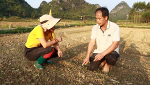 蓝启网络推广系统-网友赵德柱的博客