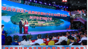 贺州市网络推广