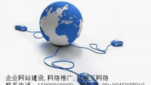 网络推广公司网址-网友赵德柱的博客