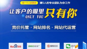 重庆网络推广代运营-网友赵德柱的博客