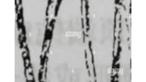 快速网络推广系统-网友赵德柱的博客