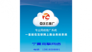 银川专业网络推广