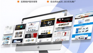 沧州网络推广招商-网友赵德柱的博客