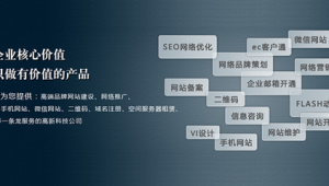 成都怎样网络营销推广-网友赵德柱的博客