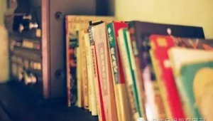 网络推广书目推荐-网友赵德柱的博客