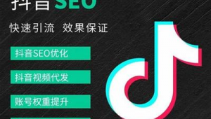 宣城市SEO-网友赵德柱的博客