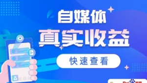 自媒体真实收入打脸-网友赵德柱的博客