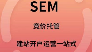 网络推广竞价运营开户-网友赵德柱的博客