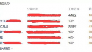 网络推广的前途在哪-网友赵德柱的博客