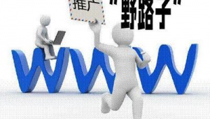 吉林长春seo网络推广-网友赵德柱的博客