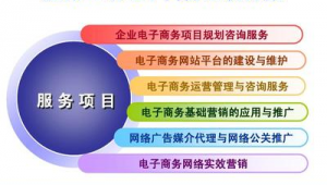 网络广告网站推广方案-网友赵德柱的博客