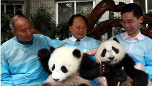 四川网络推广公司费用-网友赵德柱的博客