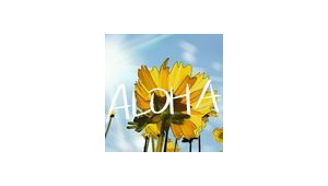 燕郊招聘网络推广专员-网友赵德柱的博客