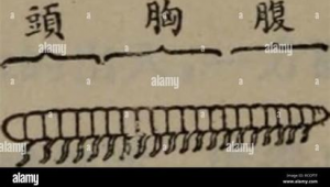 一点资讯自媒体平台-网友赵德柱的博客