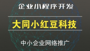 大同信息网络推广-网友赵德柱的博客