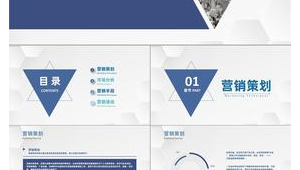 企业网络营销推广方案模板