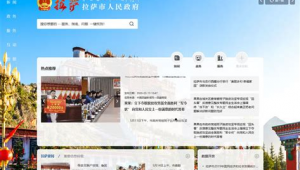 拉萨网站建设网络推广-网友赵德柱的博客