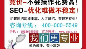 罗湖网络推广方法-网友赵德柱的博客