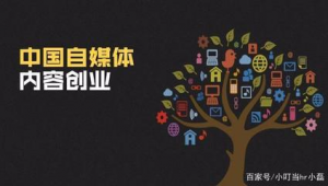 自媒体 副业-网友赵德柱的博客