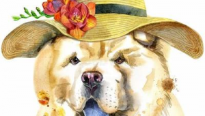 牡丹江网络推广-网友赵德柱的博客