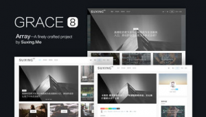 wordpress自媒体主题-网友赵德柱的博客