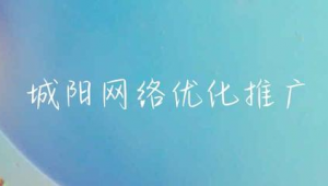 网络优化推广推广-网友赵德柱的博客