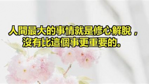 网络推广引流高端教程