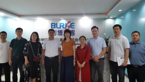 创博龙智 网络推广