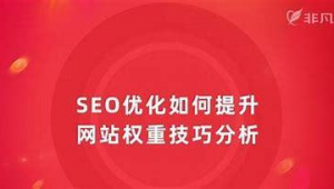 石家庄seo优化网络推广