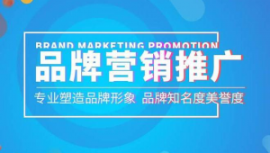 网络营销推广书-网友赵德柱的博客