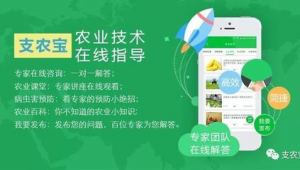 农业网络推广-网友赵德柱的博客