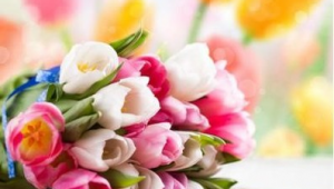 鲜花网络营销推广方案-网友赵德柱的博客