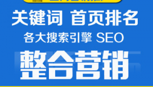 上海seo网络推广推荐