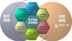 网络推广公司运营方案-网友赵德柱的博客