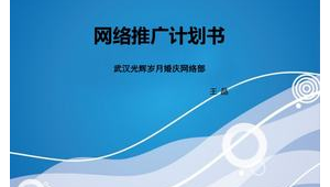 武汉个人网络推广-网友赵德柱的博客