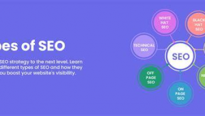 网络推广自学课程-网友赵德柱的博客