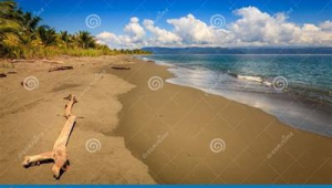 网络推广公司营销策略-网友赵德柱的博客