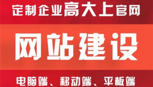 阳江网络推广上首页-网友赵德柱的博客