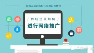 网络公司为企业推广-网友赵德柱的博客