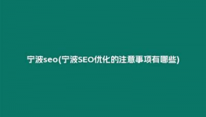 什么是seo网络推广留痕-网友赵德柱的博客