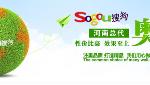 搜狗网络推广哪家好-网友赵德柱的博客