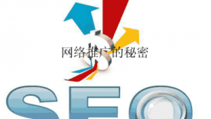 重庆seo和网络推广-网友赵德柱的博客