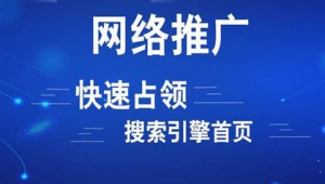 网络推广软文范例-网友赵德柱的博客