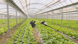 江苏连云港网络推广-网友赵德柱的博客