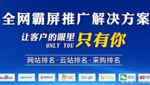 四川网络推广哪家好-网友赵德柱的博客