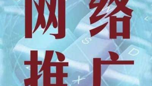 阳江网络推广多少钱-网友赵德柱的博客