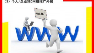 seo就是网络推广吗-网友赵德柱的博客